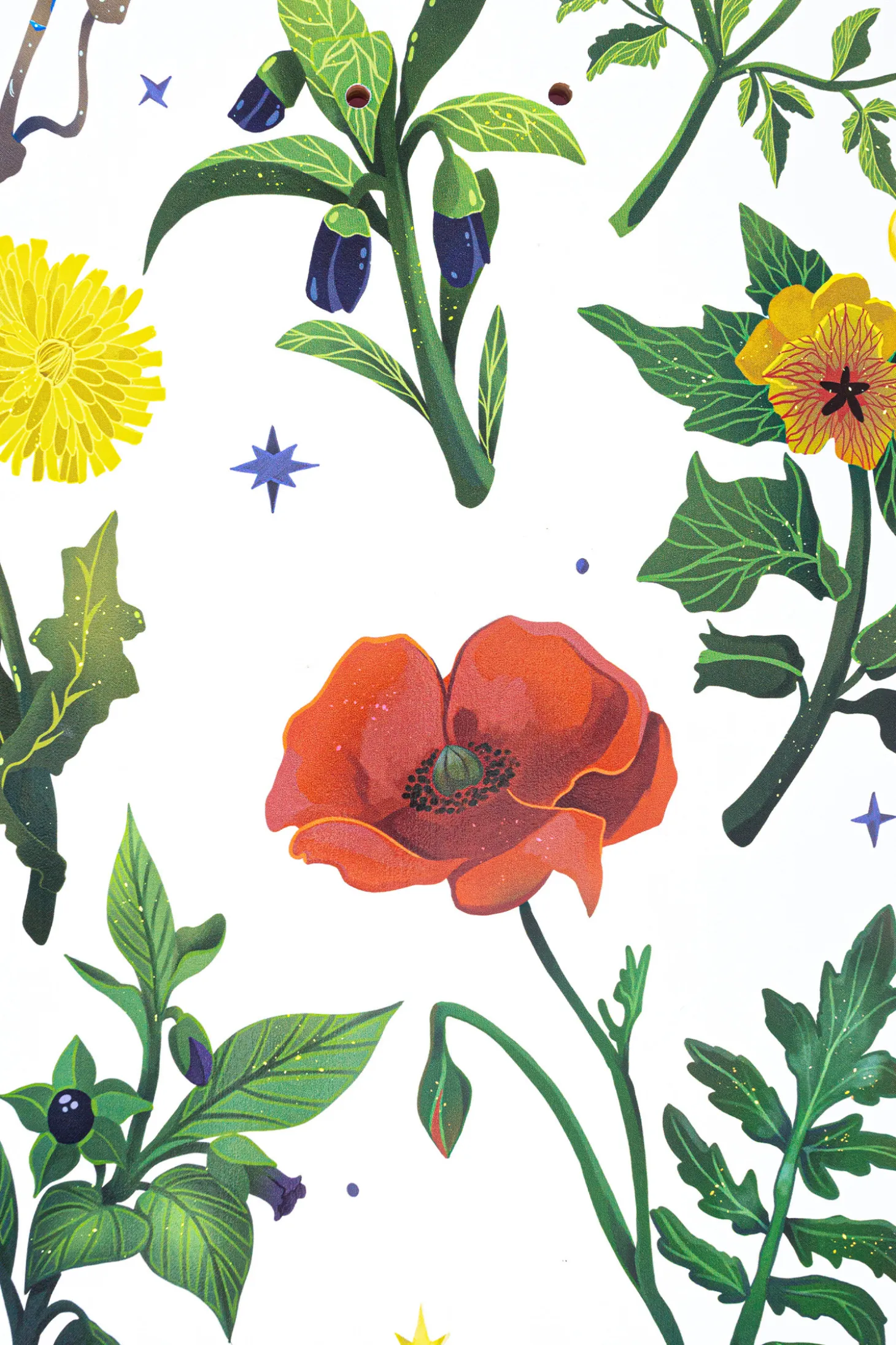 Blat Palto Herbarium