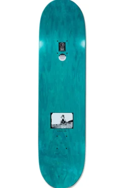 Blat Polar Shin Sanbongi Hold On