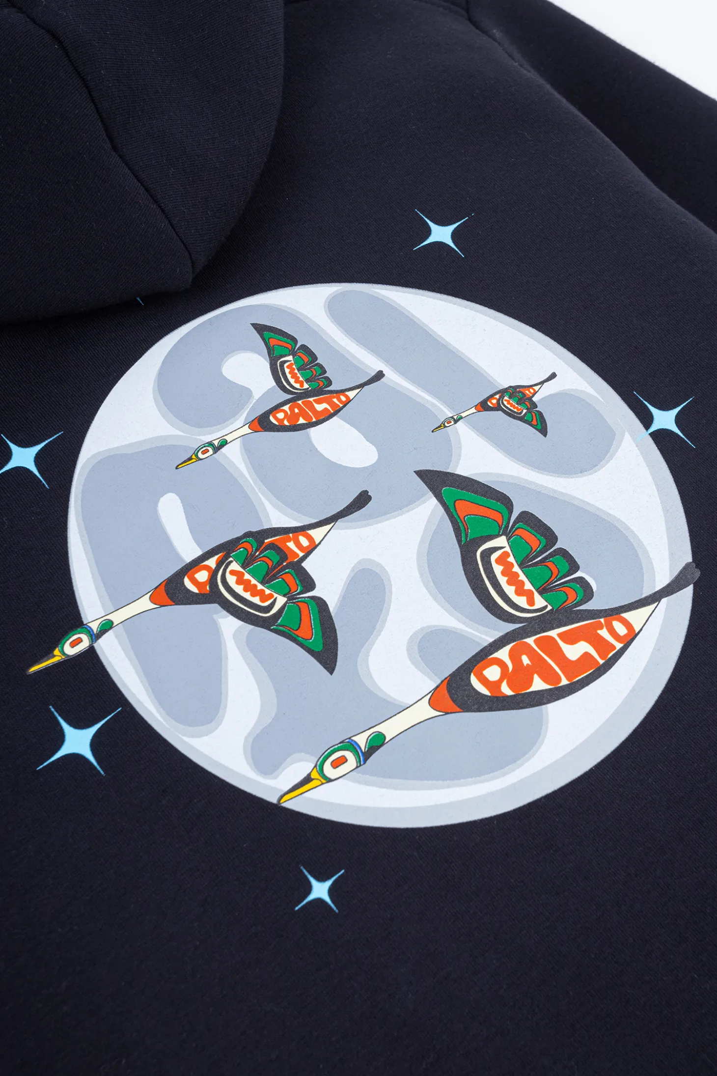 Bluza Snowboardowa Palto Goose