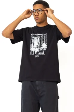 Koszulka Palto Cryptid