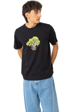 Koszulka Palto Lemon Tree