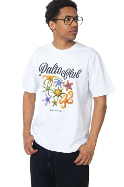 Koszulka Palto Nautica