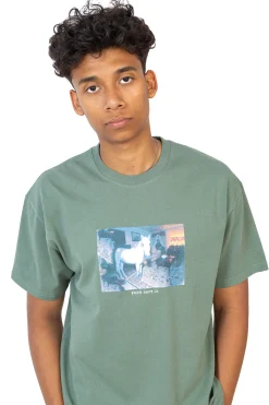 Koszulka Polar Horse Dream