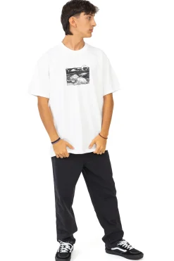 Koszulka Polar Turtle Town