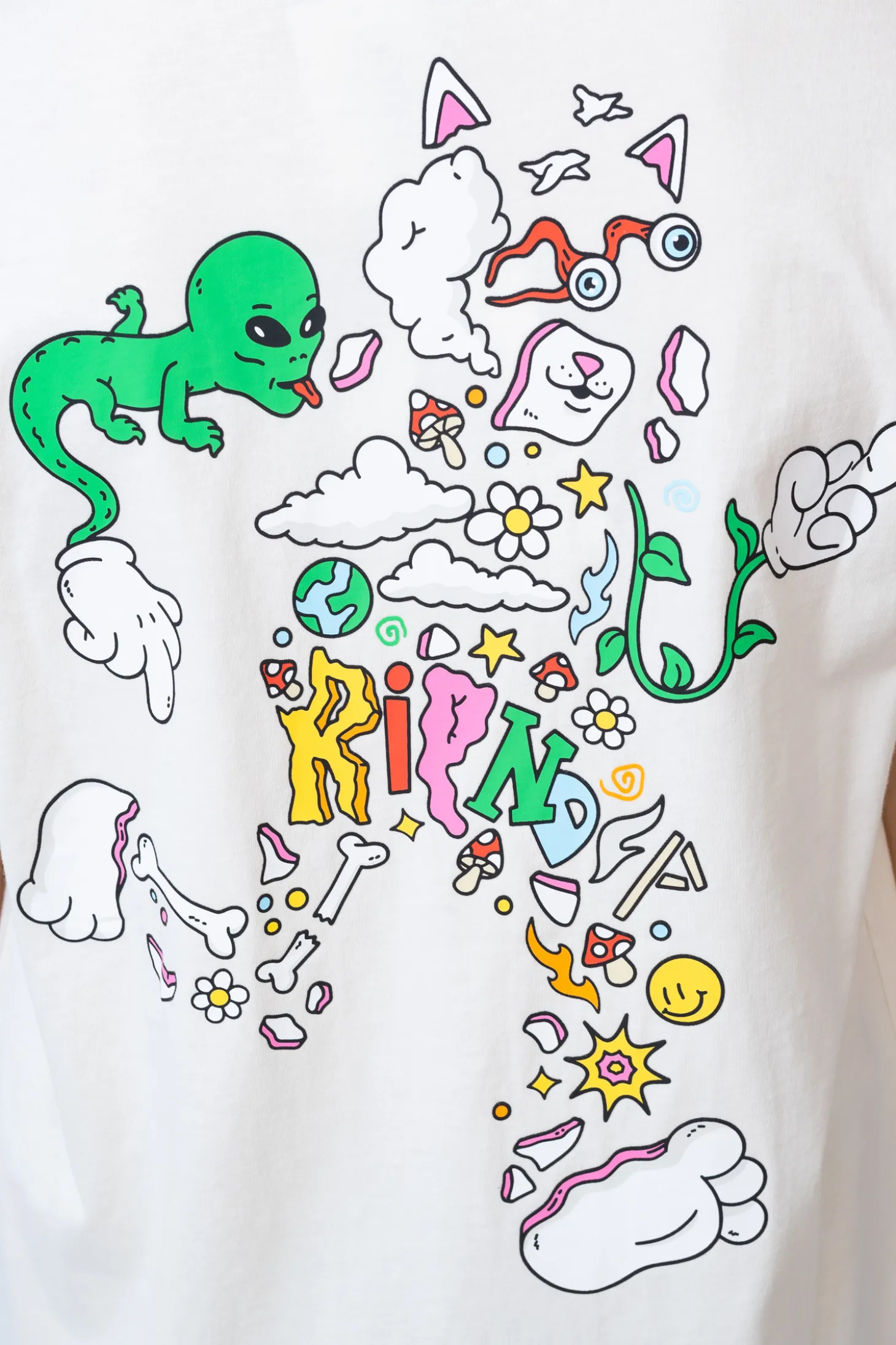 Koszulka Ripndip Broken Down