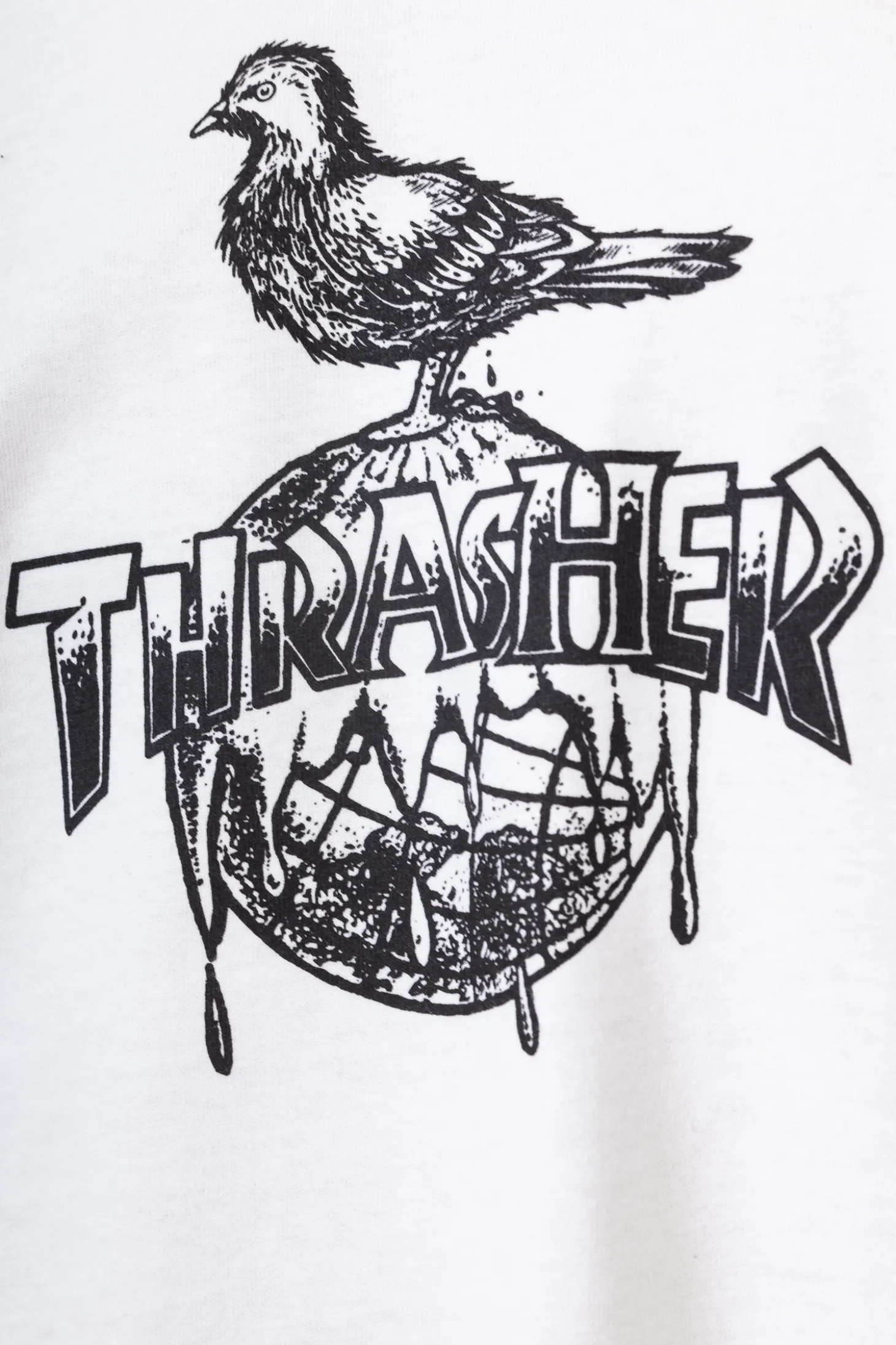 Koszulka Thrasher x Antihero Cover The Earth